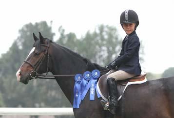 What is a horse show? A horse show is a judged exhibition of horse and rider offering an opportunity to test what has been practiced at home.