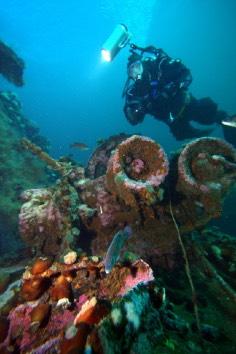 the wrecks are all 30m or shallower which makes the perfect for recreational diving.