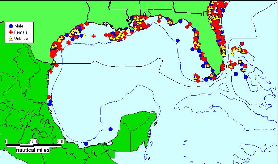 Figure 6. Atlantic sharpnose shark tagging data (including recaptures) in the Gulf of Mexico by sex.