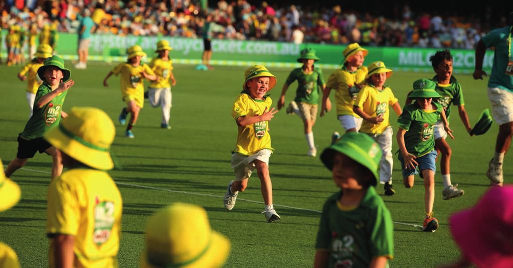 PARTICIPATION Cricket has further consolidated its primacy in Queensland with 2016-17 National Cricket Census revealing the State has recorded robust growth for the seventh year in a row.