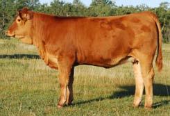 88H S&S SAHARA G&L AVALANCHE 149F DRAKE LIBERTY LRS MAVERICK 30G LRS MS 600U 628F CE MCE MWW Milk EPDs 3.9 2.7 35.6 57.7 0.3 22.0 4.2 95 This may be the first Voyager daughter to sell in Canada.