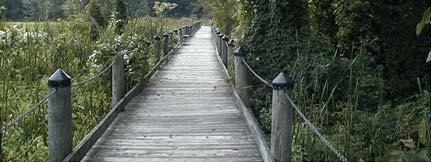 Boardwalk leading to Mockley Point. Existing trails provide access to the Potomac River and Piscataway Creek.