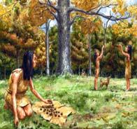 Food Early Native Americans were