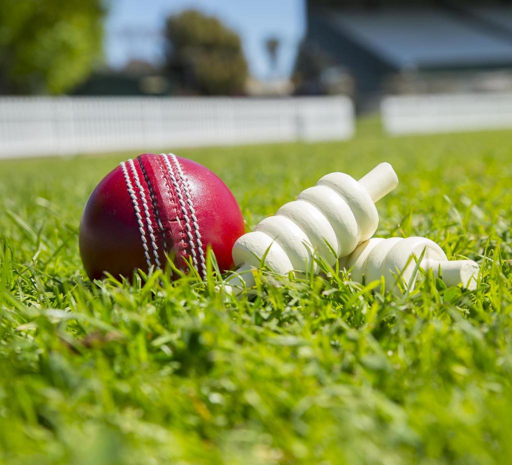 Epsom Cricket Club 5 Year Plan