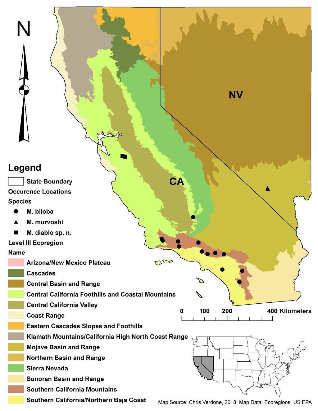 Fig. 1. Distribution of examined material of Malenka biloba, M. diablo sp. n., and M. murvoshi, and level III ecoregions of California and Nevada. using GEOLocate v. 3.