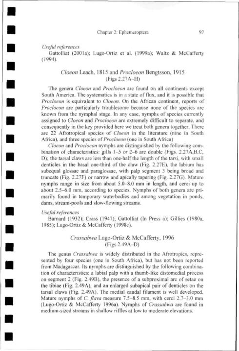 Chapter 2: Ephemeroptera 97 Useful references Gattolliat (2001a); Lugo-Ortiz et al. (1999a); Waltz & McCafferty (1994). Cloeon Leach. 1815 and Procloeon Bengtsson, 1915 (Figs2.