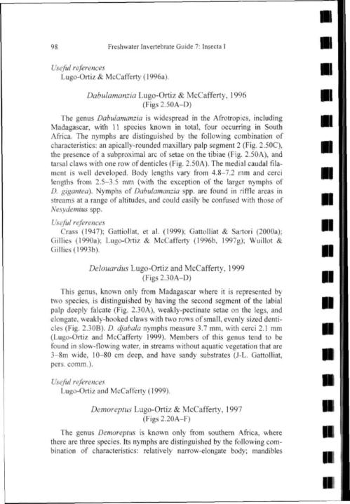 98 Freshwater Invertebrate Guide 7: Insecta I Useful references Lugo-Ortiz & McCafferty {1996a). I I HI m t Dabulamanzia Lugo-Ortiz & McCafferty, 1996 H (Figs2.
