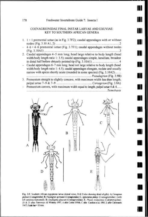 178 Freshwater Invertebrate Guide 7: Insecta I 111 COENAGRIONIDAE FINAL INSTAR LARVAE AND EXUVIAE: KEY TO SOUTHERN AFRICAN GENERA 1 + 1 premental setae (as in Fig. 3.