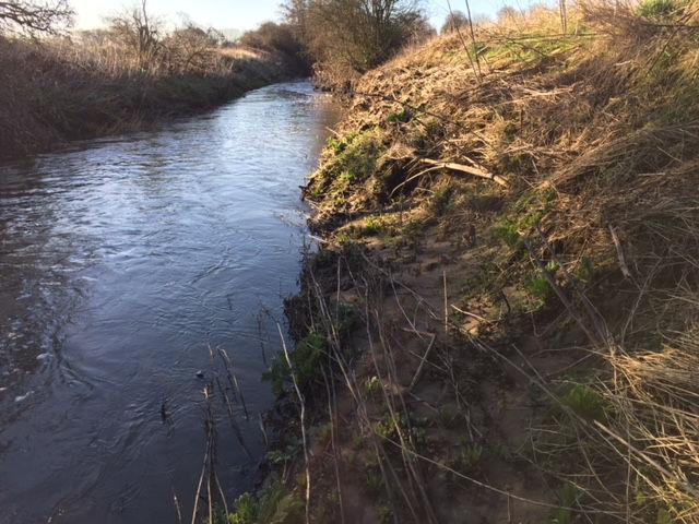 Habitat Description 11. The site comprises a narrow river channel which has been reinforced on the application site side by a low flood protection berm.