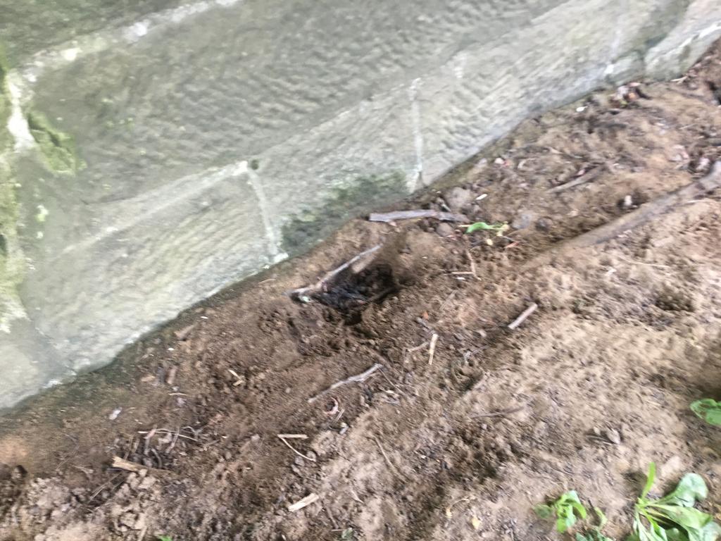 Figure 4 Badger latrines under bridge in Autumn 2018 Evaluation 18. The site is assessed as being used regularly by otters which will hunt in the beck and pass through the site using it as a corridor.