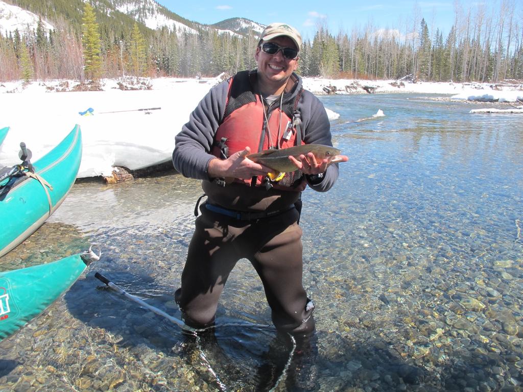 Alberta Conservation Association biologist Chad Judd holding a Clearwater River bull