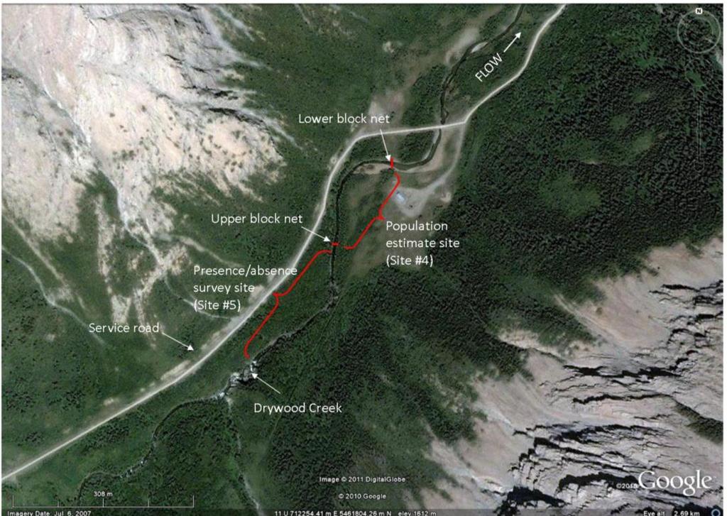 Figure 4. Reaches sampled in Drywood Creek on October 19, 2010. 1.2.1 Drywood Creek Drywood Creek is approximately 35 km long from the headwaters to the Waterton Reservoir.