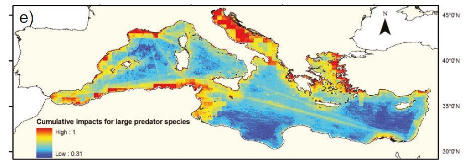 Mediterranean coastal areas: Highest fish