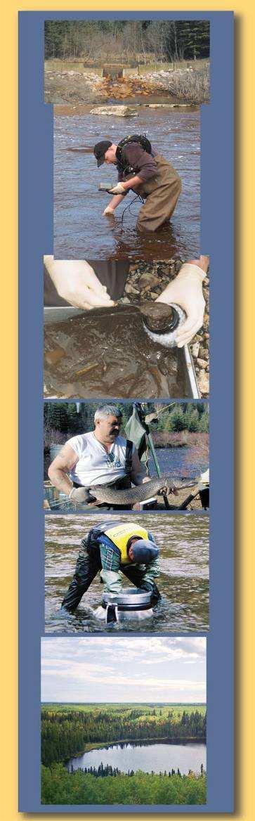 2008 Monitoring Activities - Athabasca River & Delta Water quality on Athabasca River Fish monitoring Athabasca-Clearwater rivers, Big Island Lake and Moose (Gardiner) Lake Sediment-dwelling