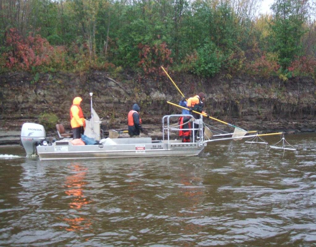 Fish Population Monitoring Fish Inventories on Athabasca (May, July, September) and Clearwater