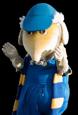 Grab a programme and take part in Haydon the Womble s latest quiz challenges, and meet him as he tours the