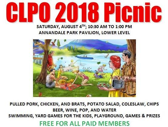 Picnic: Lower level of the Annandale City Park Pavilion Saturday,