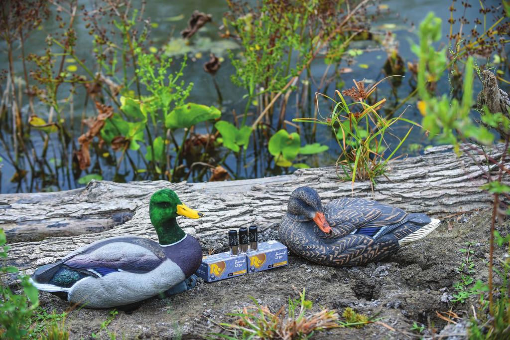 Hunting Cartridges Waterfowl - Premier When lead was banned for waterfowl hunting in the early 90s one of the