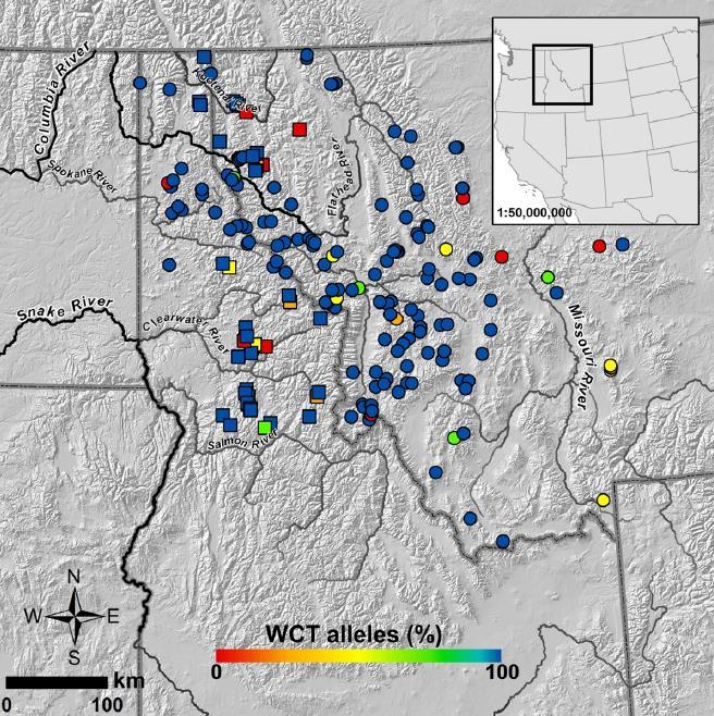 from 90% of historical habitat 188 sites in 129 streams (2 nd 4 th Order) 3,865