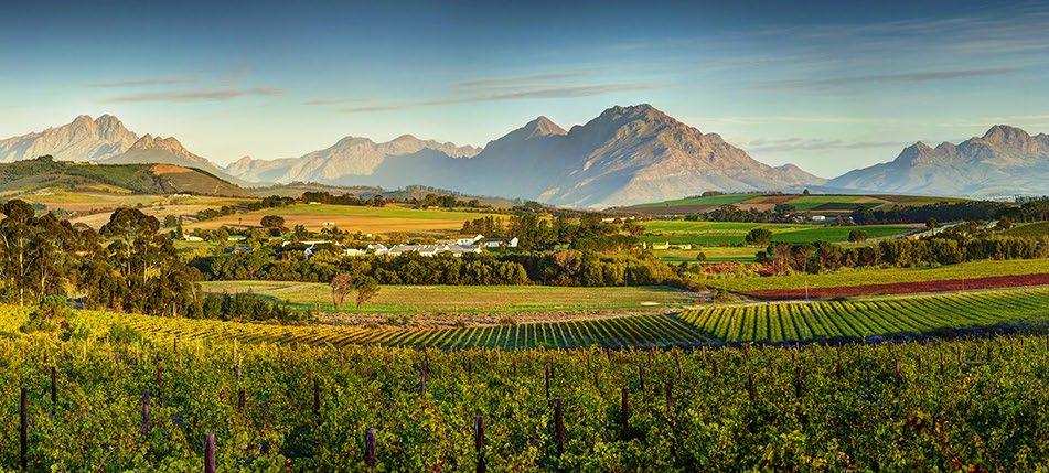 Going since 1692, Spier is one of South Africa s oldest wine farms, with a fascinating history and a legacy that the owners never take for granted. Today the farm has a modern, conscious energy.