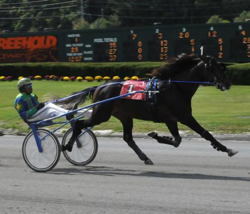 & Dana Parham EVERY WAY OUT 3 YO If I Can Dream Pacing Colt NJSDF