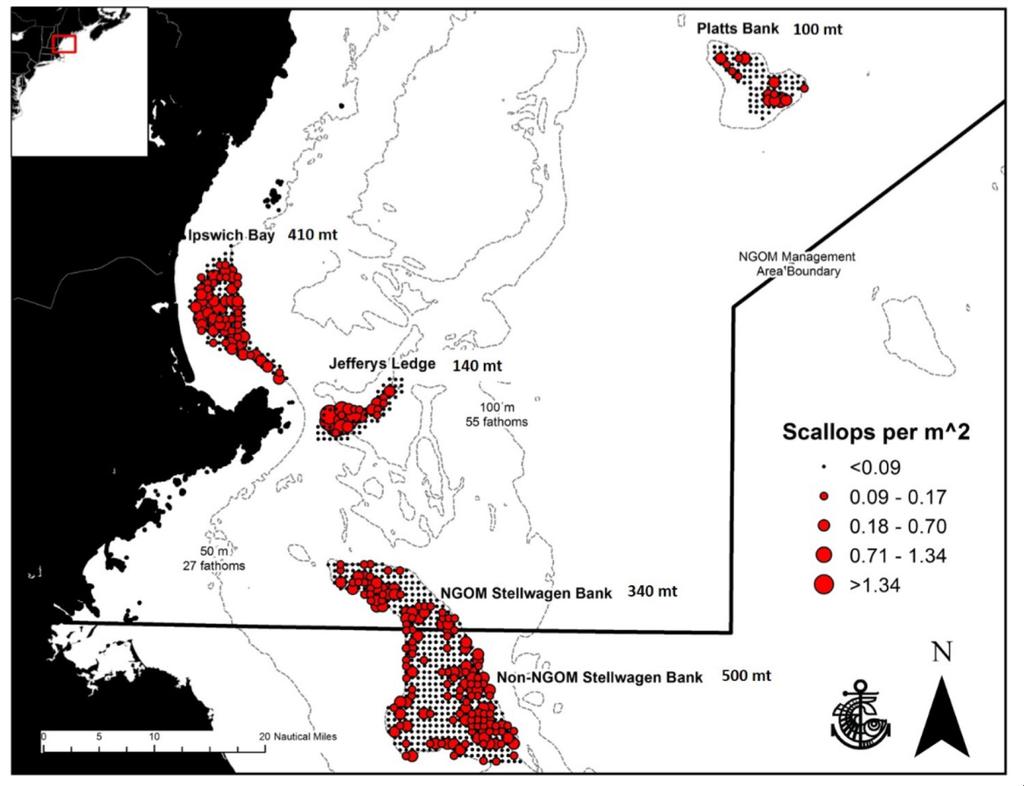 Fishing activity in the Northern Gulf of Maine Management Area is expected to occur on the northern portion of Stellwagen Bank, in Ipswich Bay, and on Jeffreys Ledge.