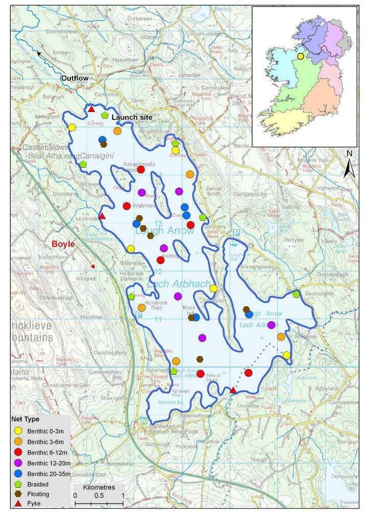Lough Arrow is an important game fishery, managed by the North Western Regional Fisheries Board, with good stocks of brown trout and eels.
