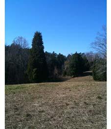 Miscellaneous Scenic views across the property All three parcels are contiguous and joined by