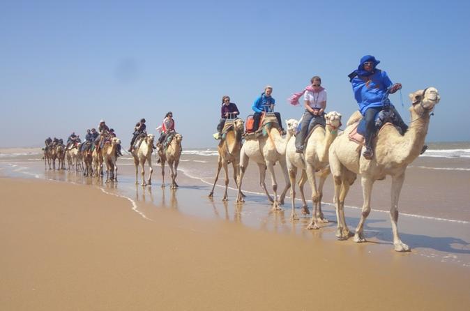 Tip: The surrounding area of Essaouira is famous for the production of argan oil.
