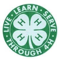 4-H Youth Development What s it all about?