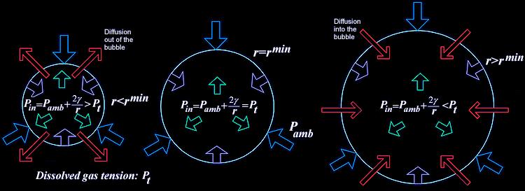 Bubble Formation and Growth In equilibrium,