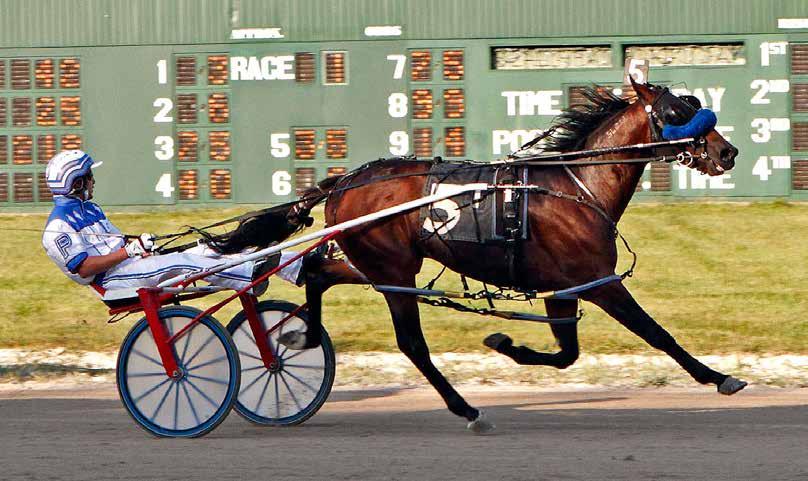 PRIMO GIOVANNI 2-Year-Old Pacing Colt BIG BAD JOHN - JK REUNITED - BETTOR S DELIGHT P, 2, 1:53.1F $115,161 Owner: Carl T. Howard Breeder: Carl T.