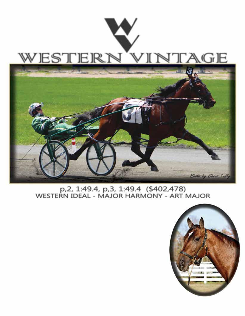 W V WESTERN VINTAGE 40 The Buckeye Harness Horseman February 2016 p,2, 1:49.4, p,3, 1:49.