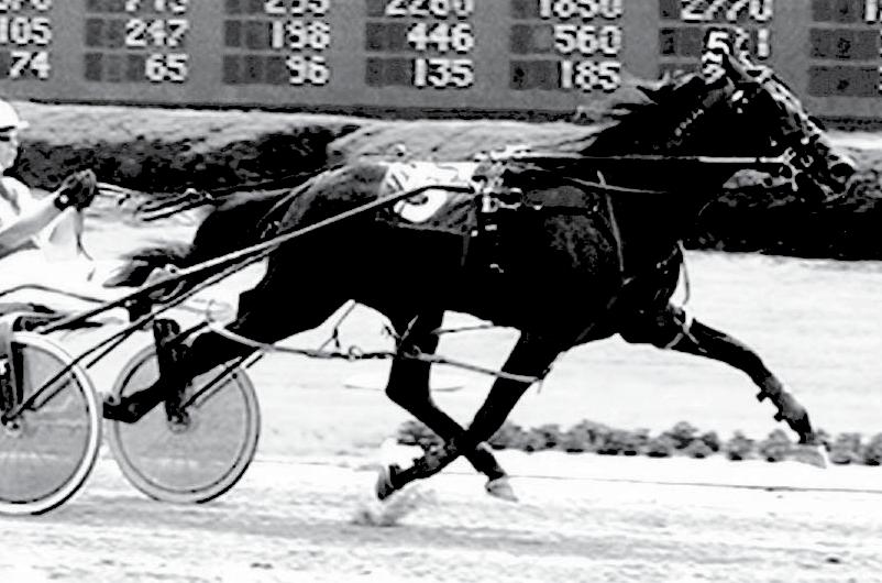 1 ($729,933) Stud fee for each: $2,000 Multiple mare discounts available Western Hanover Ain t No Stopn Me p2, 1:56.2f; 3, 1:55.