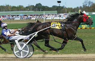 3 ($338,561) Rocknroll Hanover - Worldly Beauty - Artsplace Stud Fee: $2,000 Millionaire Racehorse from a Millionaire Sire and Dam.