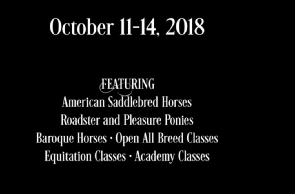 Saddlebred Horses Roadster and Pleasure Ponies