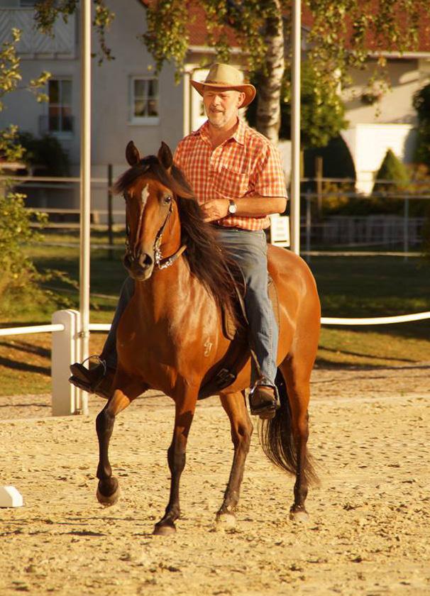 Quickness? With this term the Paso Fino-lover refers to the speed of footfall in gait.