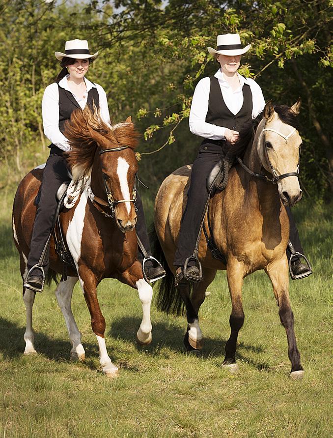 Let s sum it up: Primarily the Paso Fino is an easy-going, versatile partner for life; a very handy horse, standing between 13 to 15 hands tall.
