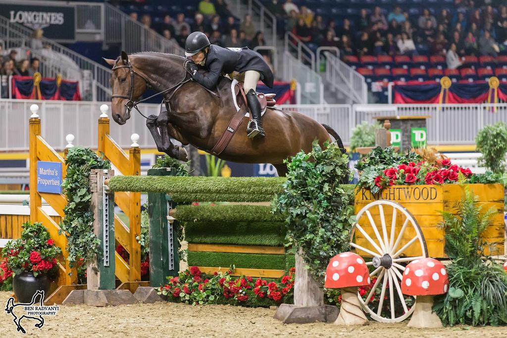 Tuesday, November 6, at the Royal Horse Show, held as part of the 96th Royal Agricultural Winter Fair in Toronto, ON.