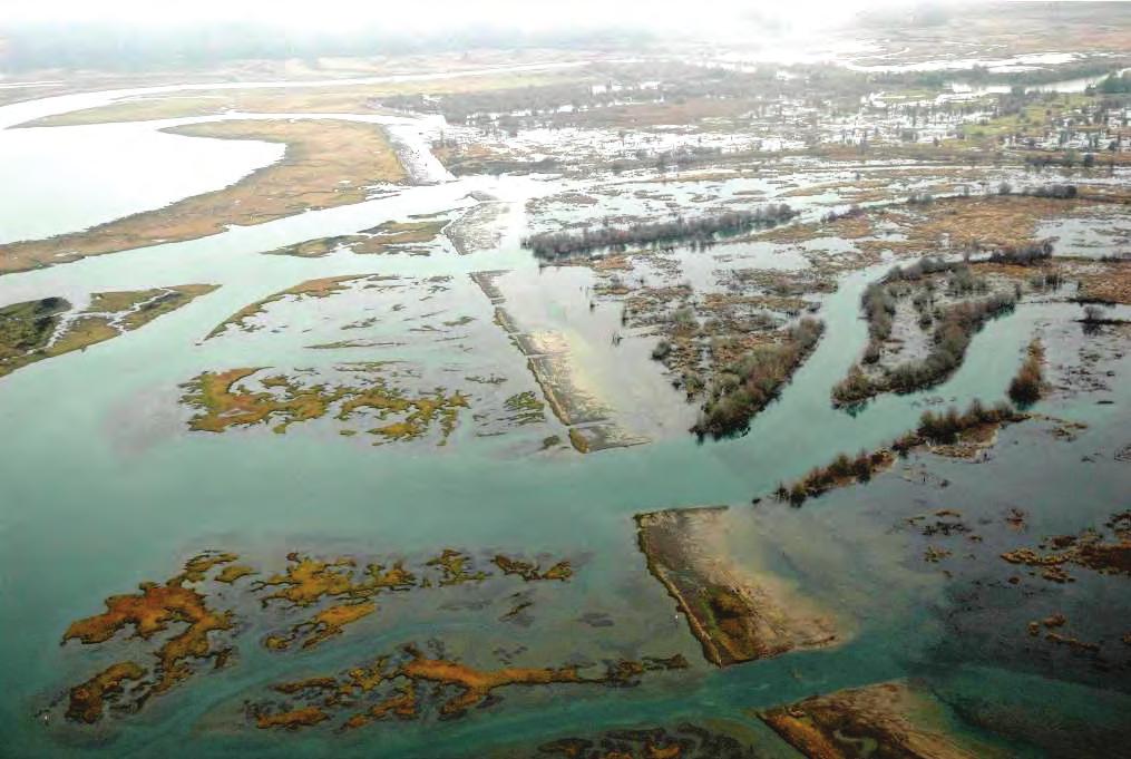 Restoration of the Nisqually River Delta and increased