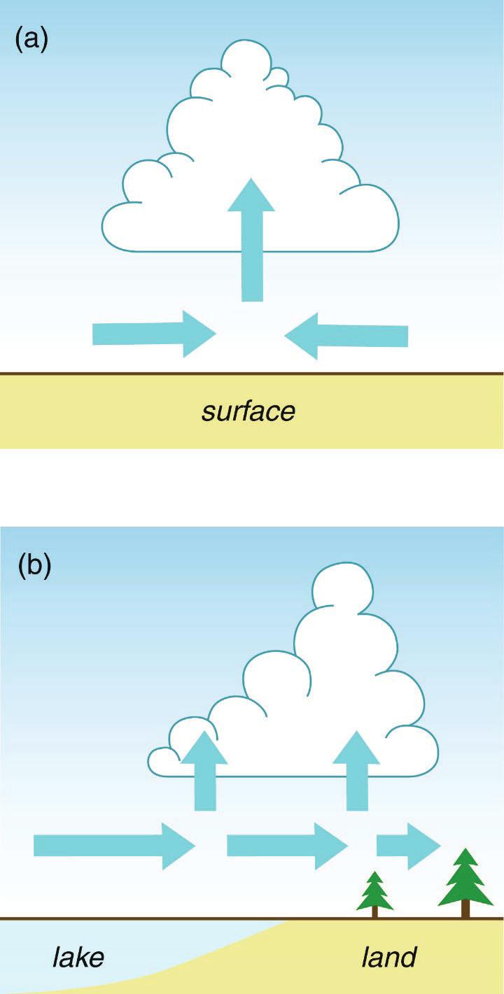 Cloud Development: Convergence When wind meets from different directions, the air in