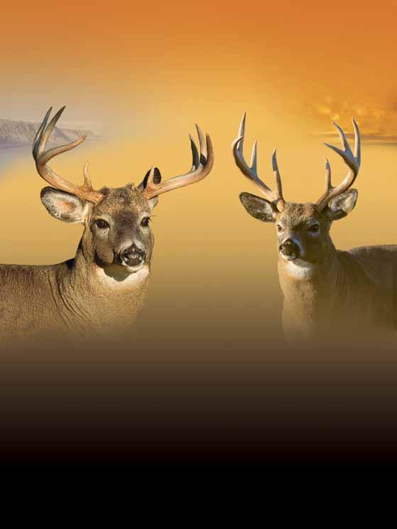 Irresistible specials! In September and October Free hunting for the 5 th group member (details on page 14) www.sepaq.