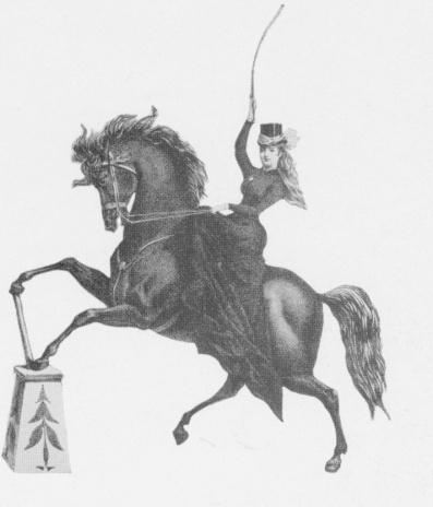 A Bit of History from the Archive An Essay on Performing Horses You must learn his thoughts from the noble horse you intend to ride. You must not demand anything unwise, anything foolish of him.