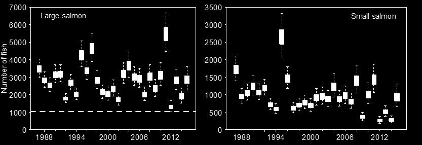 Adult salmon abundance for the Margaree River is derived with a model that uses estimates of exploitation rates in the recreational fishery, mark and recapture experiments conducted between 1988 and
