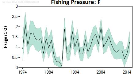 ICES Advice on fishing opportunities, catch, and effort Greater North Sea Ecoregion Published 30