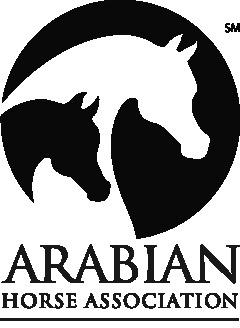One Arabian Horse Faire