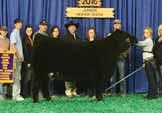 Futurity, Double Supreme Champion Female in Both Ring A & Ring B at the KSU AGR Kick Off Show, Double Reserve Supreme Champion Female at the 1 Steers & Stripes Steer &