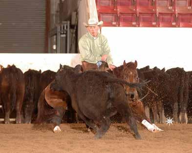 His top 10 performers earning in excess of $85,000+. He is the sire of Im Countin Checks (NCHA LTE: $514,757+) Average offspring earnings of $32,491.81.