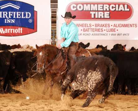 All-time leading cutting sire all ages, all divisions. More than $500,000+ in 2014 Futurity Money Earners. Out of Kwackin by Dual Pep.