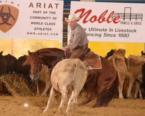 1995 NCHA Open Futurity Champion. Peptoboonsmal has been a top 5 cutting sire every year since his first foal crop showed in 2001. Out of by.